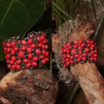 Bracelet femme a la mode avec des pierres couleur rouge